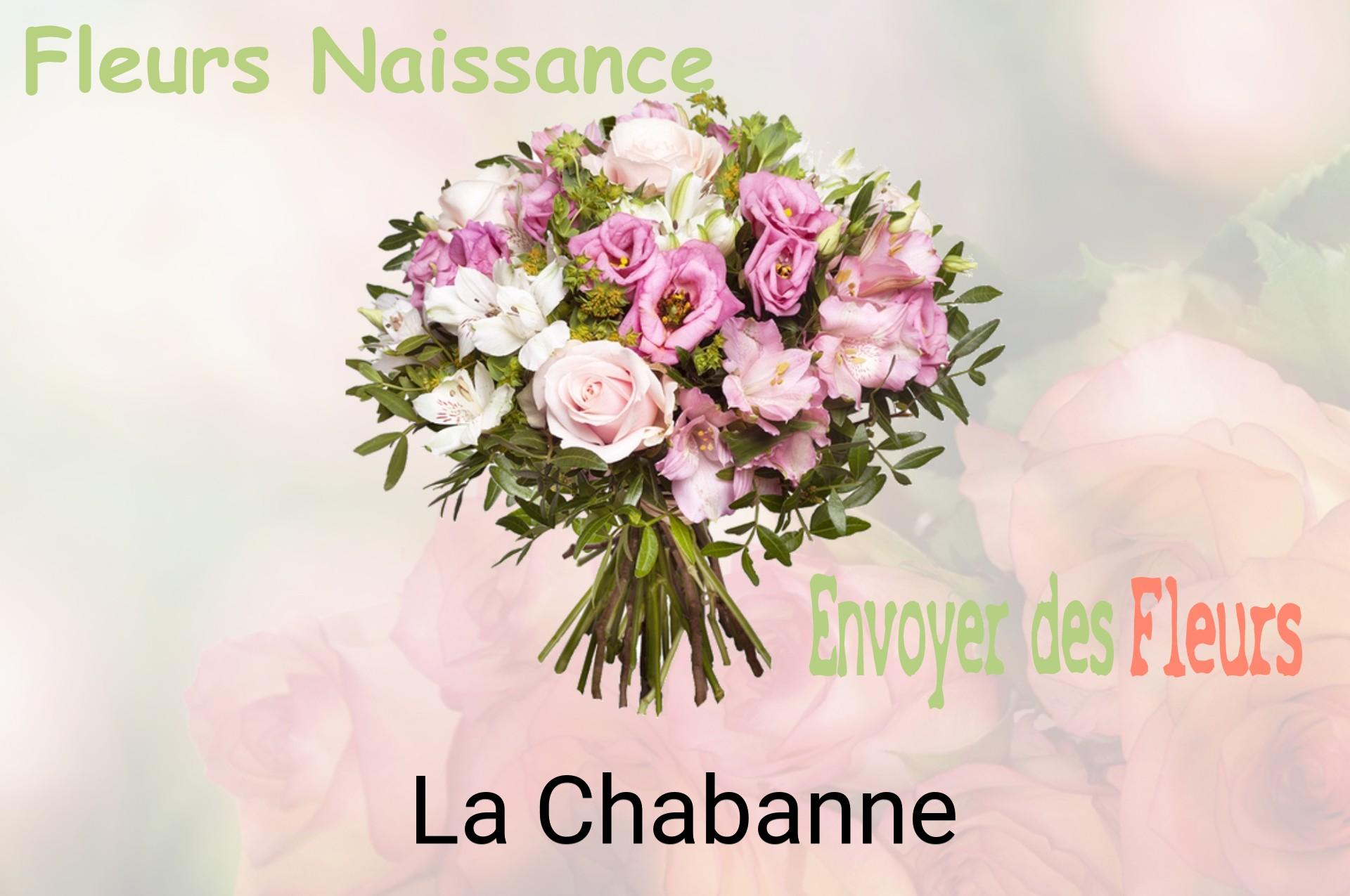 Bouquet de fleurs de naissance livré à La Chabanne